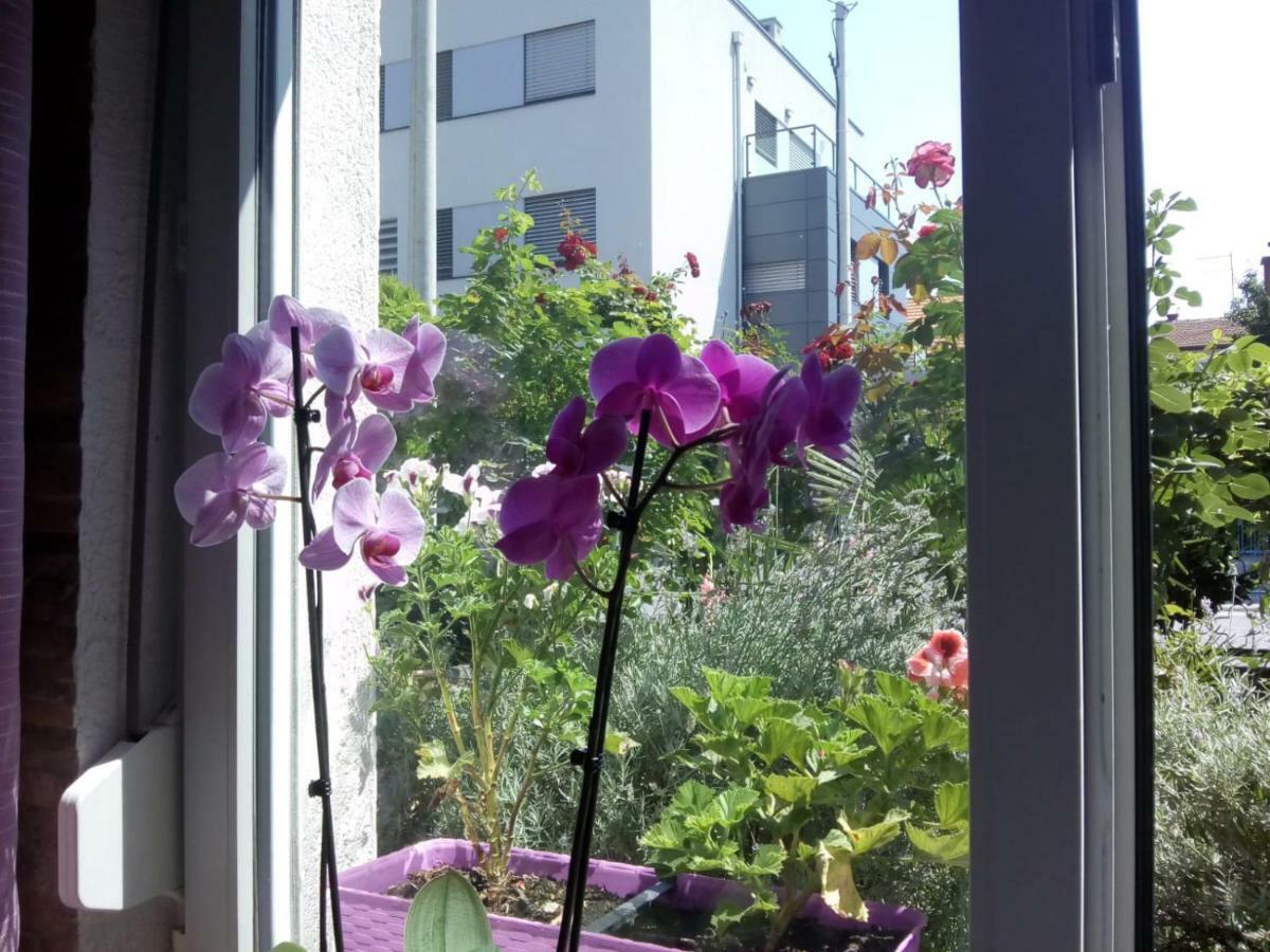 Apartman Teuta Загреб Екстериор снимка