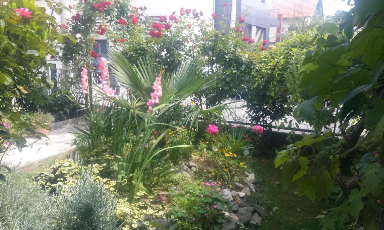 Apartman Teuta Загреб Екстериор снимка